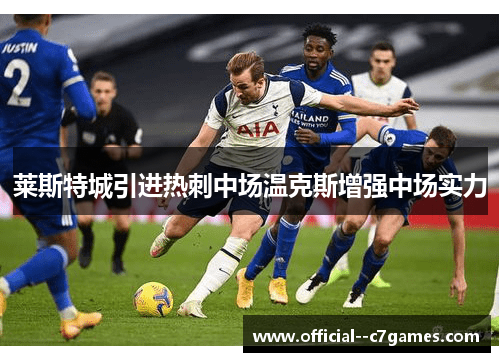 莱斯特城引进热刺中场温克斯增强中场实力